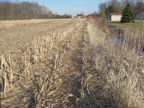 Property photo 2 - 44 Acres Offered in 3 Tracts